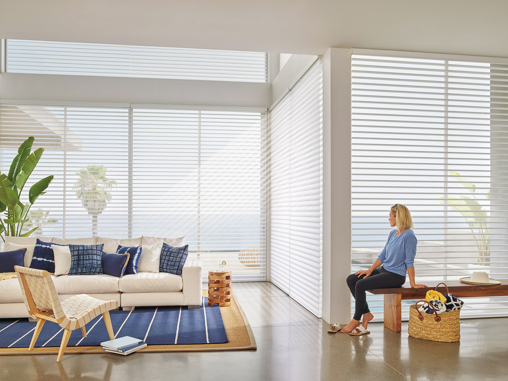 Hunter Douglas window treatment